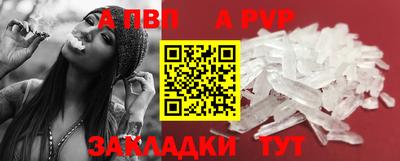 СК Обь