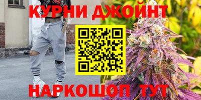 СК Обь