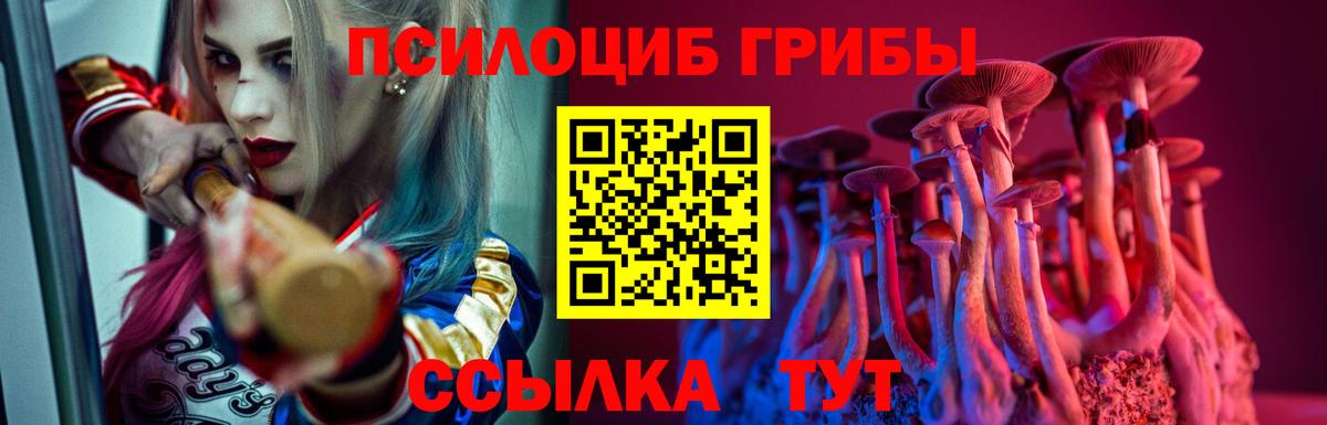 Галлюциногенные грибы ЛСД Соль-Илецк