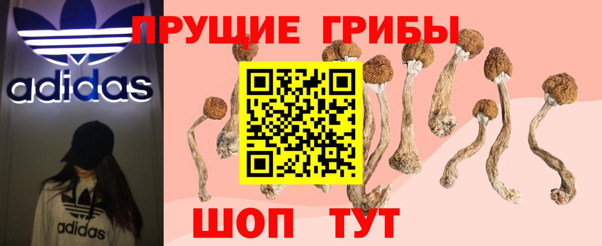 Галлюциногенные грибы Magic Shrooms  Вход с VPN  Соль-Илецк  Галлюциногенные грибы ЛСД 
